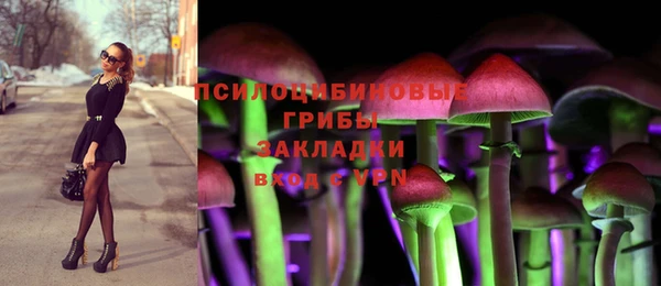 гидропоника Алзамай