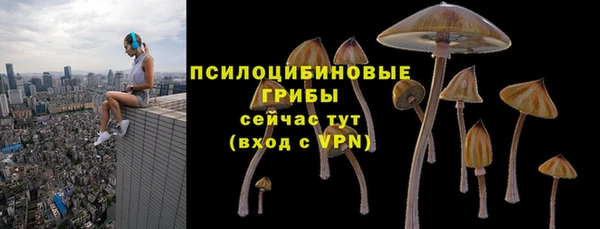 ПСИЛОЦИБИНОВЫЕ ГРИБЫ Армянск