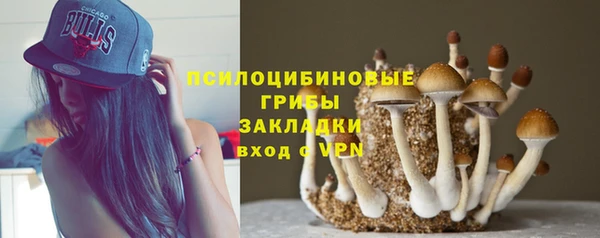 гидропоника Алзамай