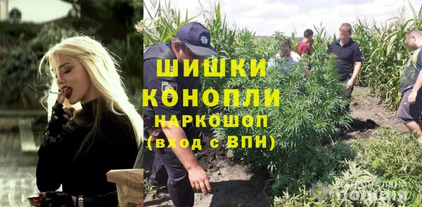 гидропоника Алзамай