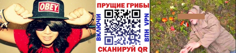 Псилоцибиновые грибы прущие грибы дарнет шоп Хадыженск